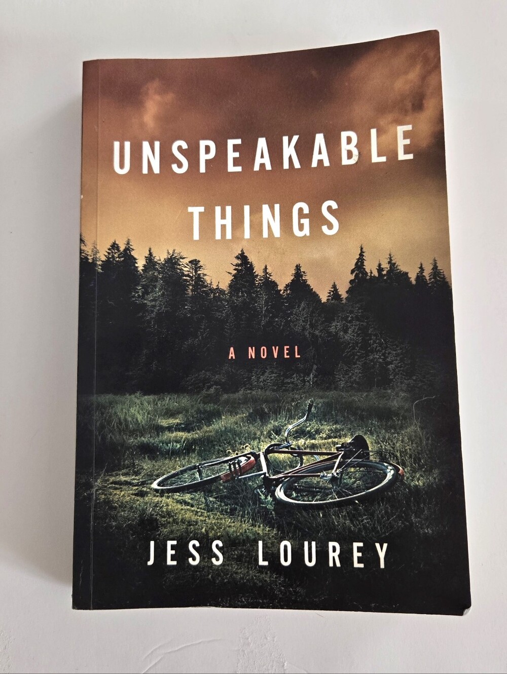 Unspeakable Things by Jess Lourey - Thriller Fiction Novel Book